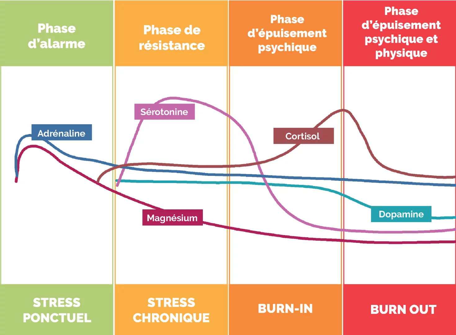 burnout_phases.webp