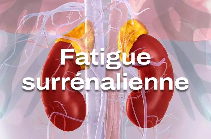 Fatigue surrénalienne : le diagnostic qui n'existe pas (mais dont les symptômes sont bien réels)