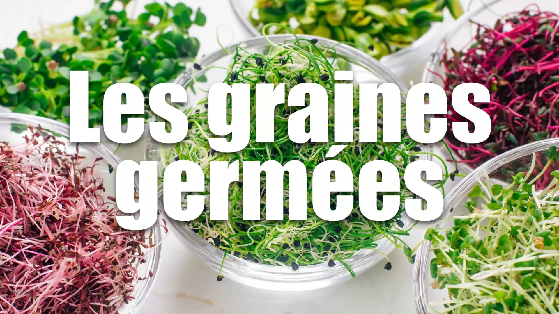 Graines germées : superfood ou argument marketing ?