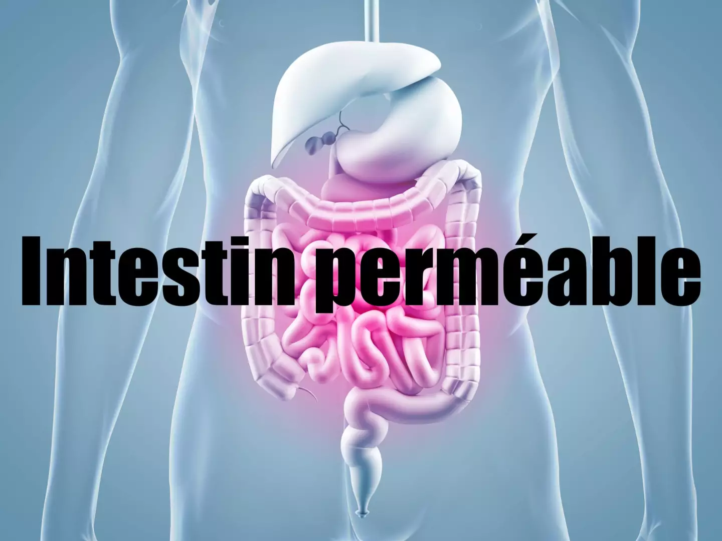 Perméabilité intestinale, LPS et inflammation : ce qu'un naturopathe regarde en premier
