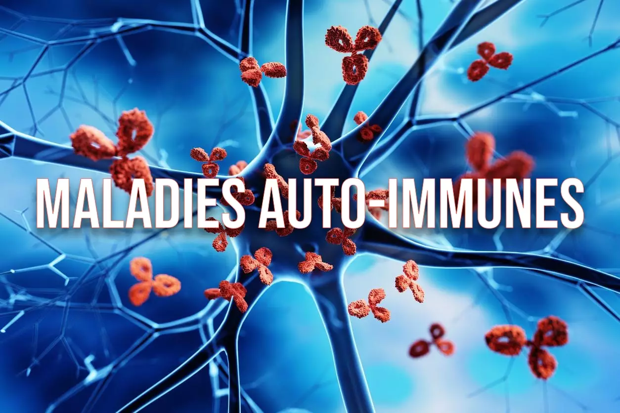 Maladies auto-immunes et alimentation : rôle de l'intestin