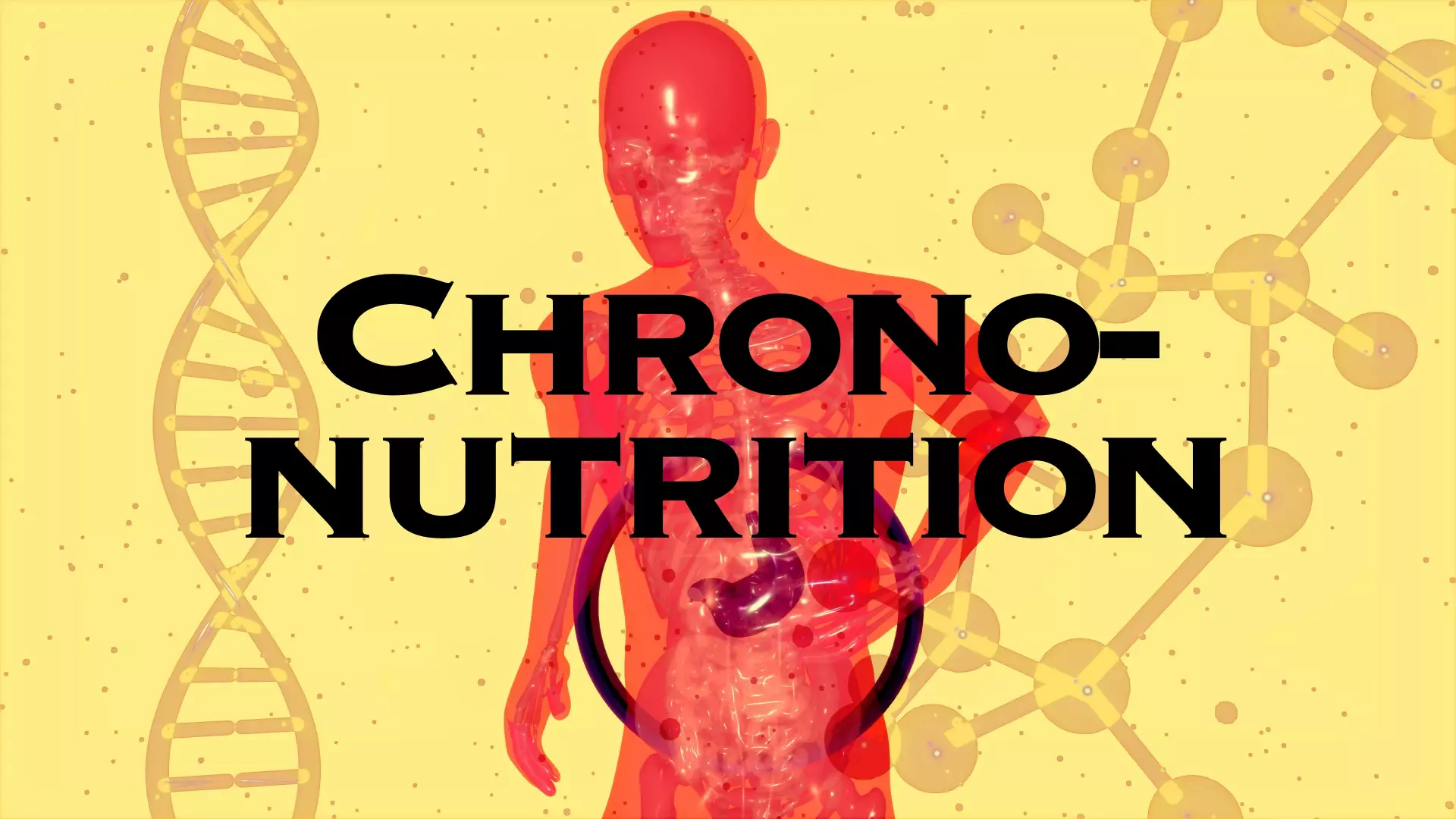 Chronobiologie et alimentation