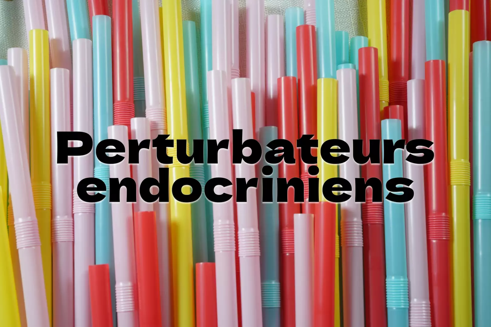 Perturbateurs endocriniens : effets, sources et comment s'en protéger